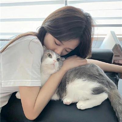 西环的故事 封面